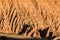 The Eroded Canyon Walls of Juniper Draw From Miller Point