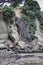 Eroded cliffs at Castor Bay, Auckland, New Zealand