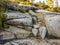 Eroded granite outcrop