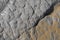 Eroded grey rock texture with some sand