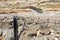 The eroded jetty post with the access ramp in the background at Port Willunga South Australia on December 8th 2020