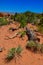 Eroded landscape, Arches National Park, Moab, Utah, US