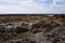 Eroded limestone rocks and tide pools at low tide