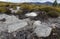 Eroded Peat Bog with Granite Gravel