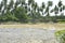 Eroded riverbank along Bulatukan river, Barangay Tamlangon, Matanao, Davao del Sur, Philippines.