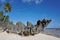 Eroded rock formation on beach French Polynesia