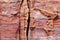 Eroded surface of sandstone rocks in Petra, Jordan