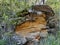 Eroded and Weathered Boulder at Bobbin Head in the Early in the Morning