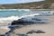 Eroded and weathered coal seam exposed on Ghosties Beach Catherine Hill Bay New South Wales Australia