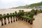 Eroded wooden groyne on sand beach