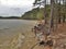 Eroding Shore at Jordan Lake