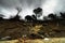 Erosion of Baltic coast after storms