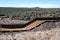 Erosion control in the Arizona desert