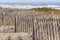 Erosion fence and American beachgrass protecting Nauset Beach sand dune