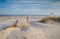 Erosion Fencing on Sandy Folly Beach South Carolina