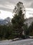 Erosion pattern on granite cliff in Yosemite