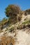 erosion process on a sandy cliff