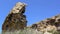 Erosion ragged rocks, east coast of Cyprus