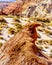 Erosion shaped this Rock Formation to look like a Bird along the Toadstool Hiking Trail in Grand Staircase-Escalante Monument