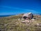 An erratic boulder on the Hill of Tongues on Muckle Roe, Shetland, UK