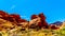 Erratic rock formation in the Valley of Fire State Park in Nevada, USA