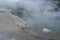 Errupting geyser in pool, Yellowstone