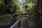 Erskine Falls Lorne Melbourne Australia Great Ocean Road serene waterfall with green environment.