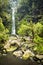 Erskine Falls Waterfall