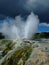 Erupting geyser in Rotorua