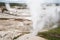 Erupting geysers and hot springs and thermal features in Norris Geyser Basin