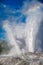 Erupting geysers in New Zealand