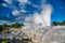 Erupting geysers of Te Puia in Rotorua, New Zealand