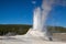 The eruption in Castle Geyser in Yellowstone NP, USA