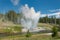 Eruption of the Riverside Geyser