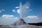 Eruption of White Dome Geyser in Yellowstone National Park 