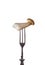 Eryngii mushroom on old fork, isolated