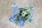 Eryngium planum Blue Sea Holly flowers on light brown background