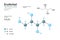 Erythritol. Food Additive and Sugar Substitute. Sugar alcohol or polyol. C4H10O4. Structural Chemical Formula and Molecule 3d