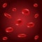 Erythrocytes, red blood cells, medical vector illustration