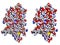 Erythropoietin model