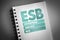 ESB - Enterprise Service Bus acronym on notepad, technology concept background