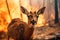 Escape from the Flames: Close-Up of a Deer Fleeing a Forest Fire