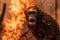 Escape from the Flames: Scared Chimpanzee Fleeing Forest Fire