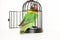 The escape. Parrot in a cage with an open door