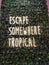 Escape somewhere tropical