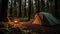 Escape to Nature: Tent Camping in a Lush Green Forest with a Crackling Campfire, Generative AI