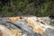 Escaping Steam at Mammoth Hot Springs