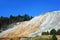 Escaping Steam in Mammoth Hot Springs