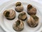 Escargot alla Bourguignonne cooked snails italian and french dish