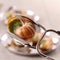 Escargot, bourgogne snail